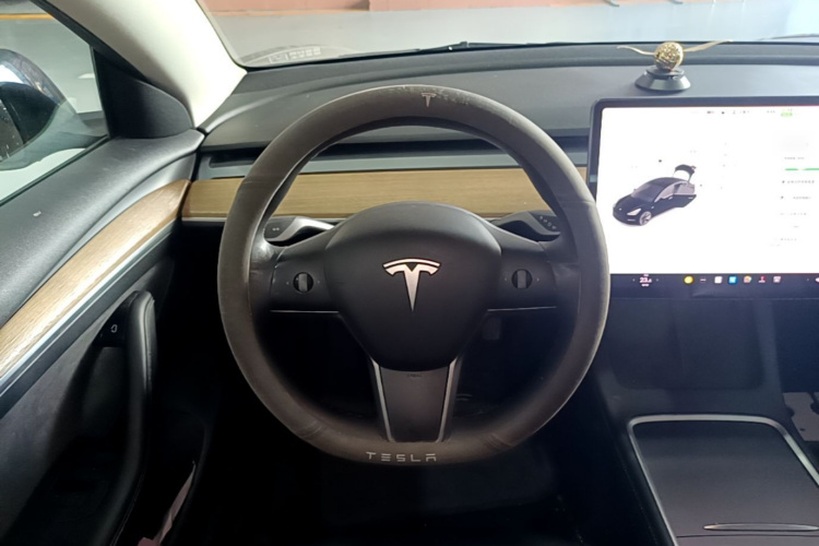Tesla Model 3 2021 #11 Tesla Model 3 2021 car image #11