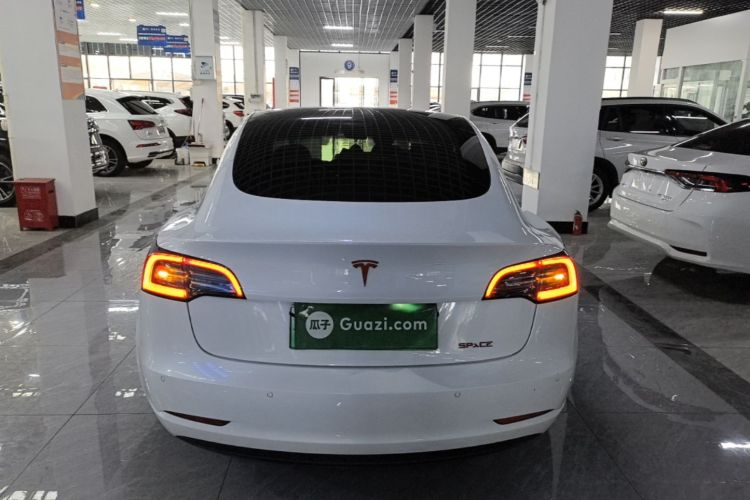 Tesla Model 3 2020 #4 Tesla Model 3 2020 car image #4