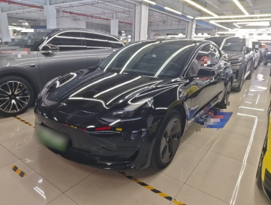 Tesla Model 3 2023 Tesla Model 3 2023 car image