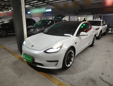 Tesla Model 3 2021 Tesla Model 3 2021 car image