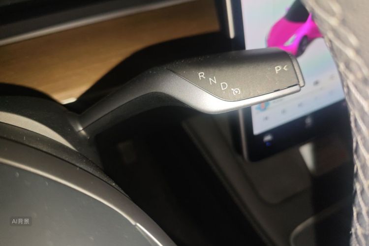 Tesla Model 3 2021 #16 Tesla Model 3 2021 car image #16