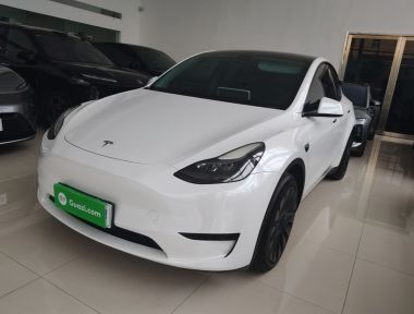 Tesla Model Y 2022 car image 