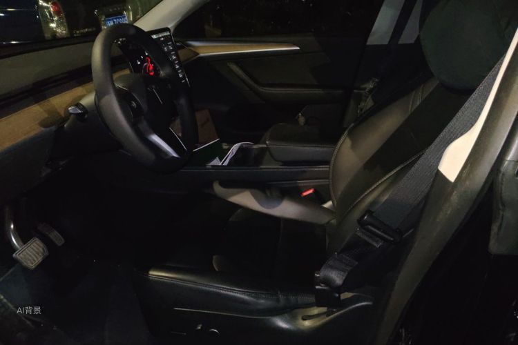 Tesla Model Y 2021 car image #17