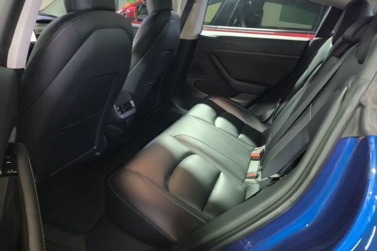 Tesla Model 3 2020 #17 Tesla Model 3 2020 car image #17