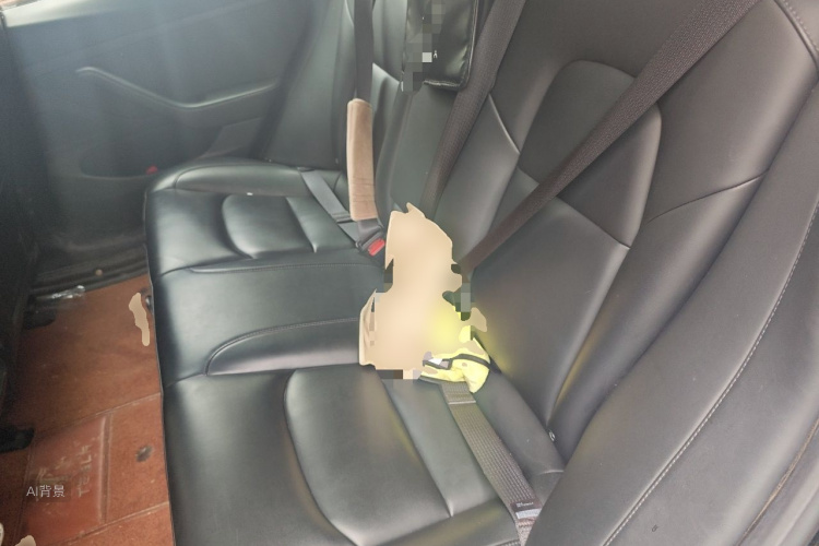 Tesla Model 3 2020 car image #19