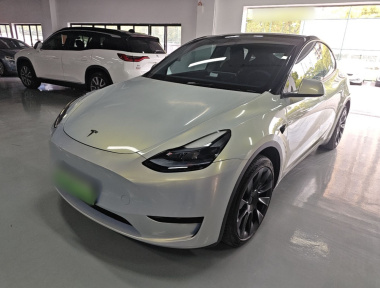 Tesla Model Y 2022 car image 