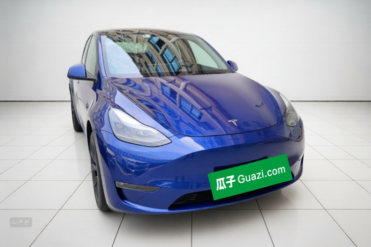 Tesla Model Y 2021 car image #4