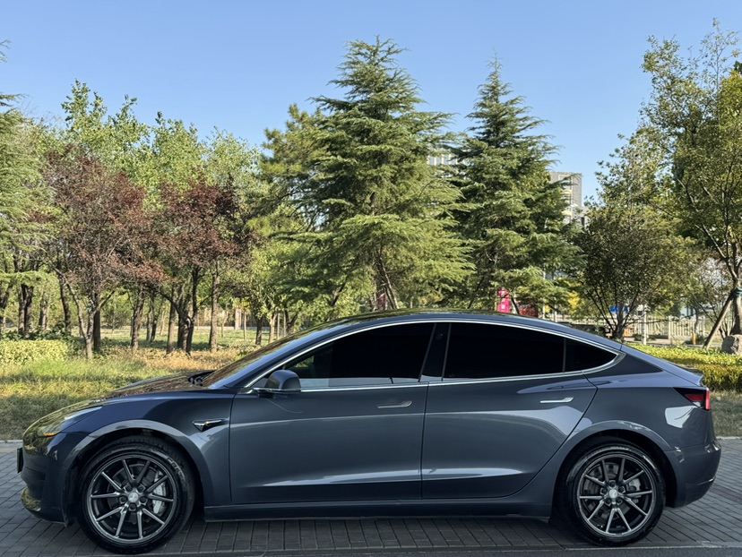 Tesla Model 3 2020 car image #6