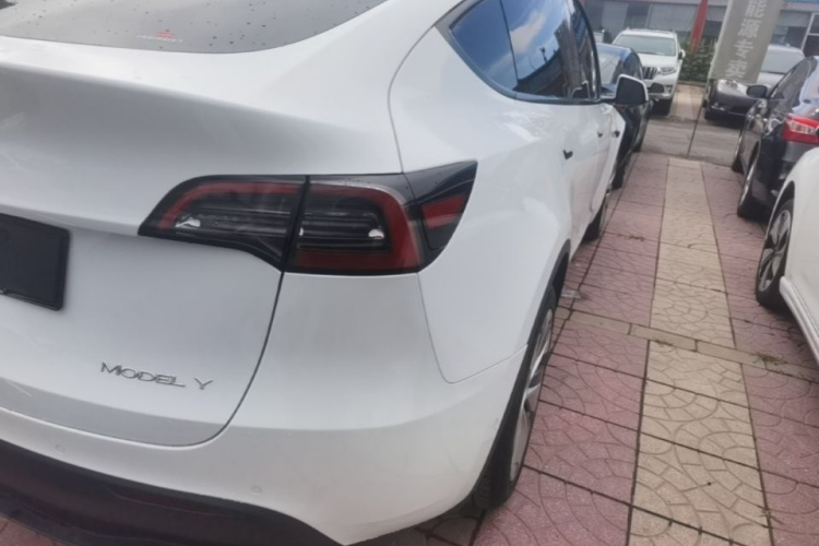 Tesla Model Y 2023 #8 Tesla Model Y 2023 car image #8