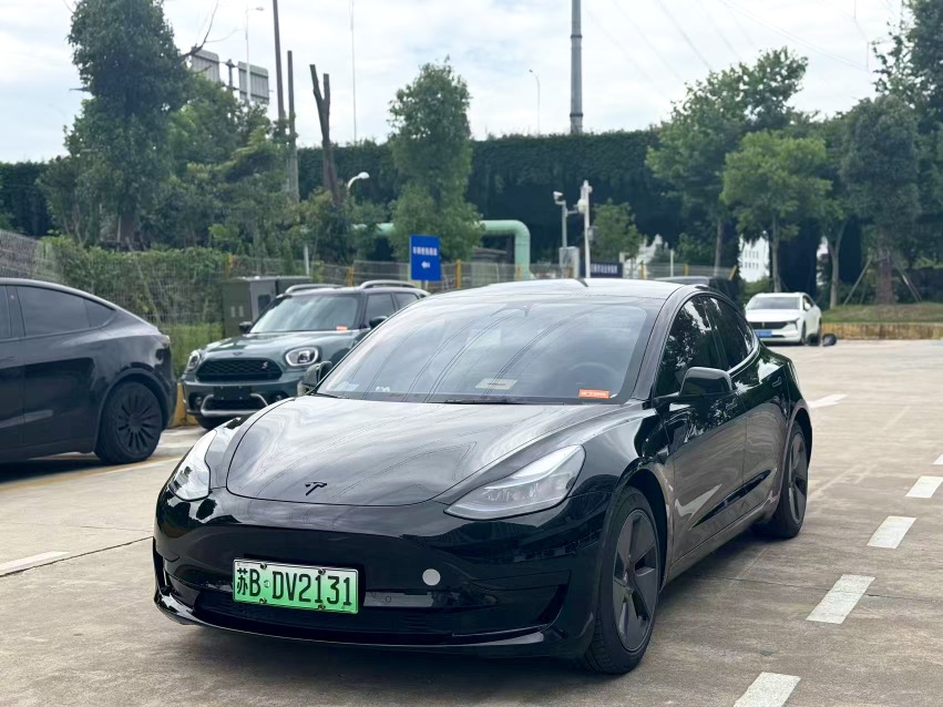 Tesla Model 3 2023 Tesla Model 3 2023 car image