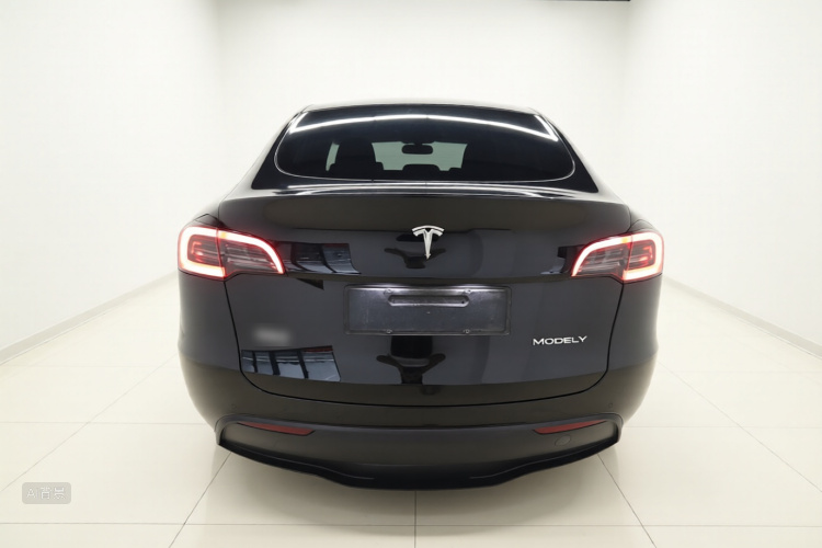 Tesla Model Y 2022 #6 Tesla Model Y 2022 car image #6