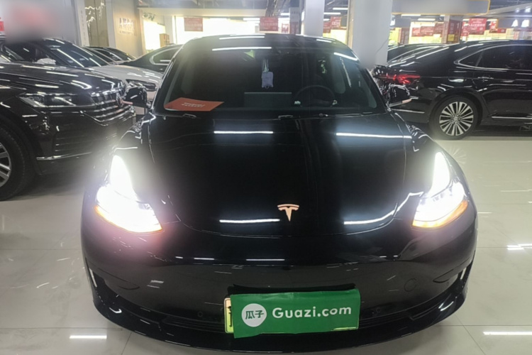 Tesla Model 3 2023 #3 Tesla Model 3 2023 car image #3