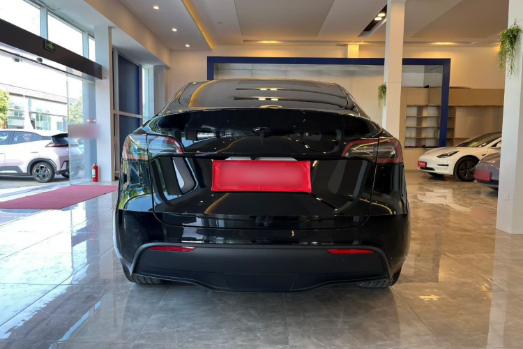 Tesla Model Y 2023 #8 Tesla Model Y 2023 car image #8