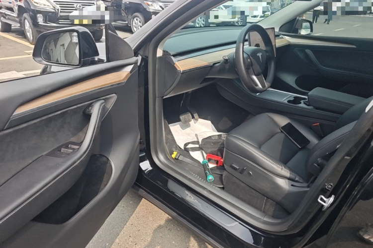 Tesla Model Y 2021 car image #12