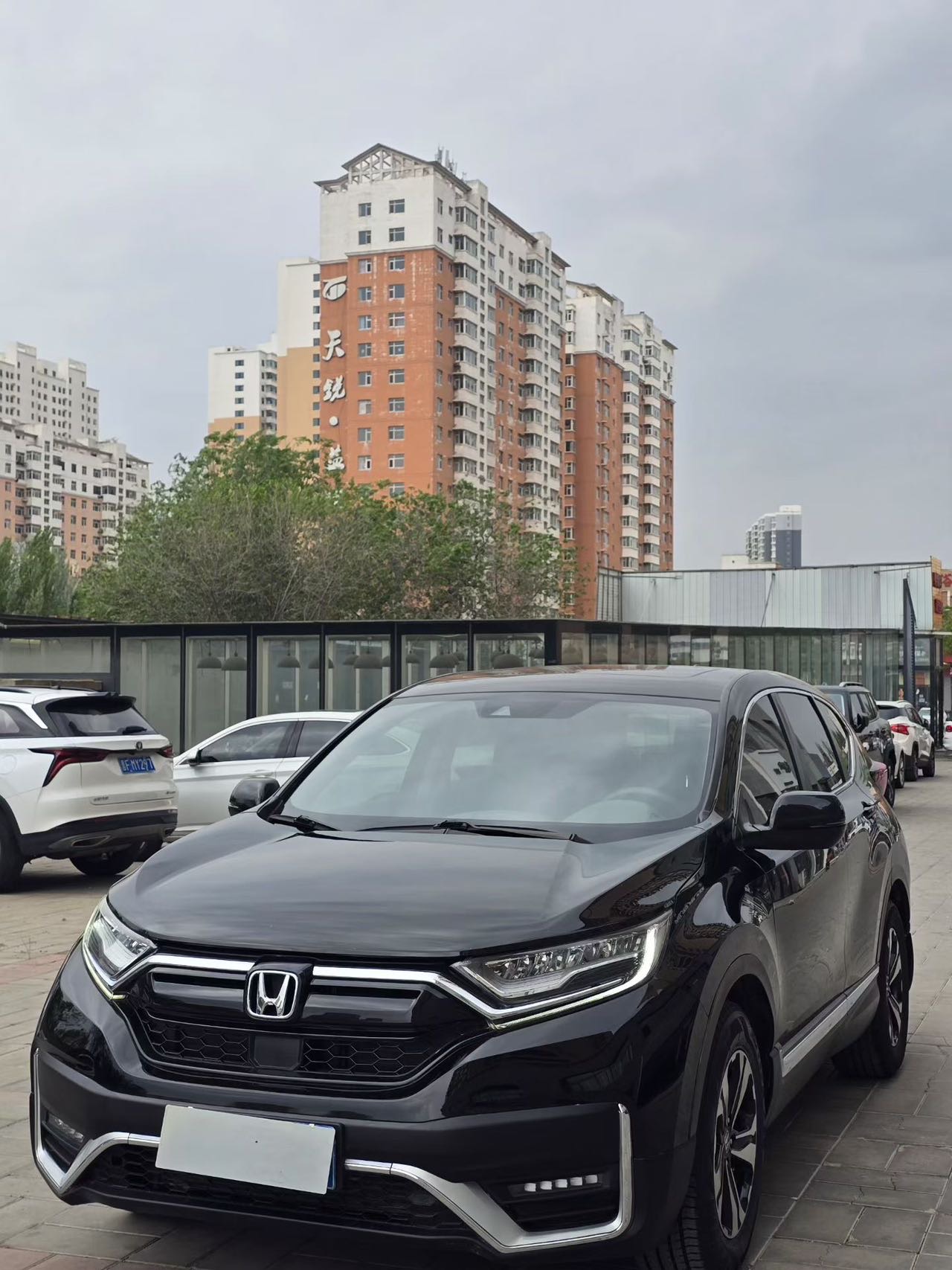 Honda CR-V 2020 car image 