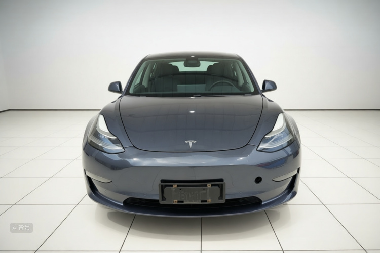Tesla Model 3 2020 car image #3