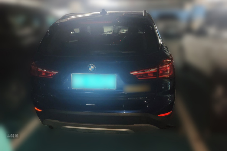 BMW X1 2019 car image #6