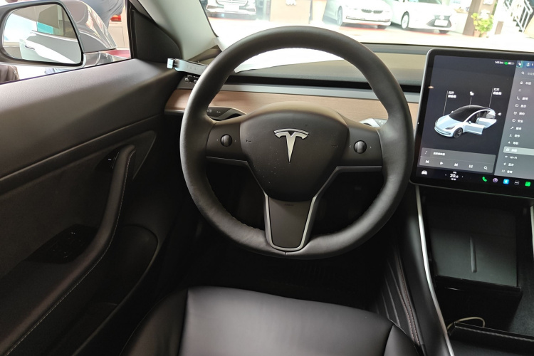 特斯拉 Model 3 2020 汽车图片 #16