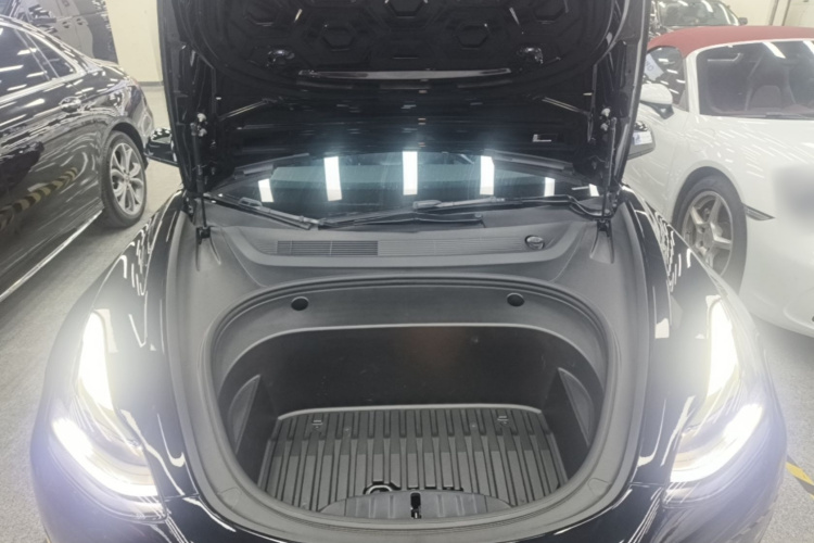 Tesla Model 3 2021 #22 Tesla Model 3 2021 car image #22