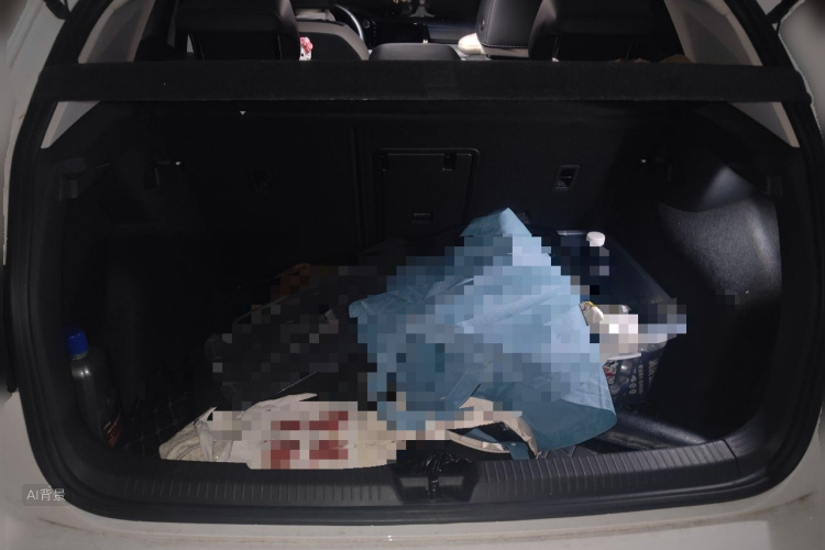 Volkswagen Golf 2021 #21 Volkswagen Golf 2021 car image #21