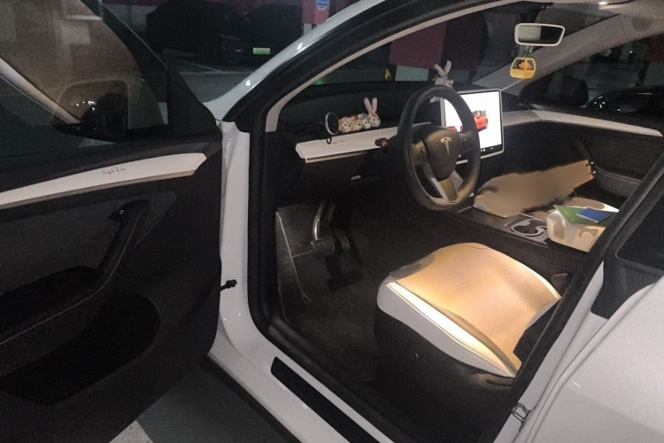 Tesla Model Y 2023 car image #13