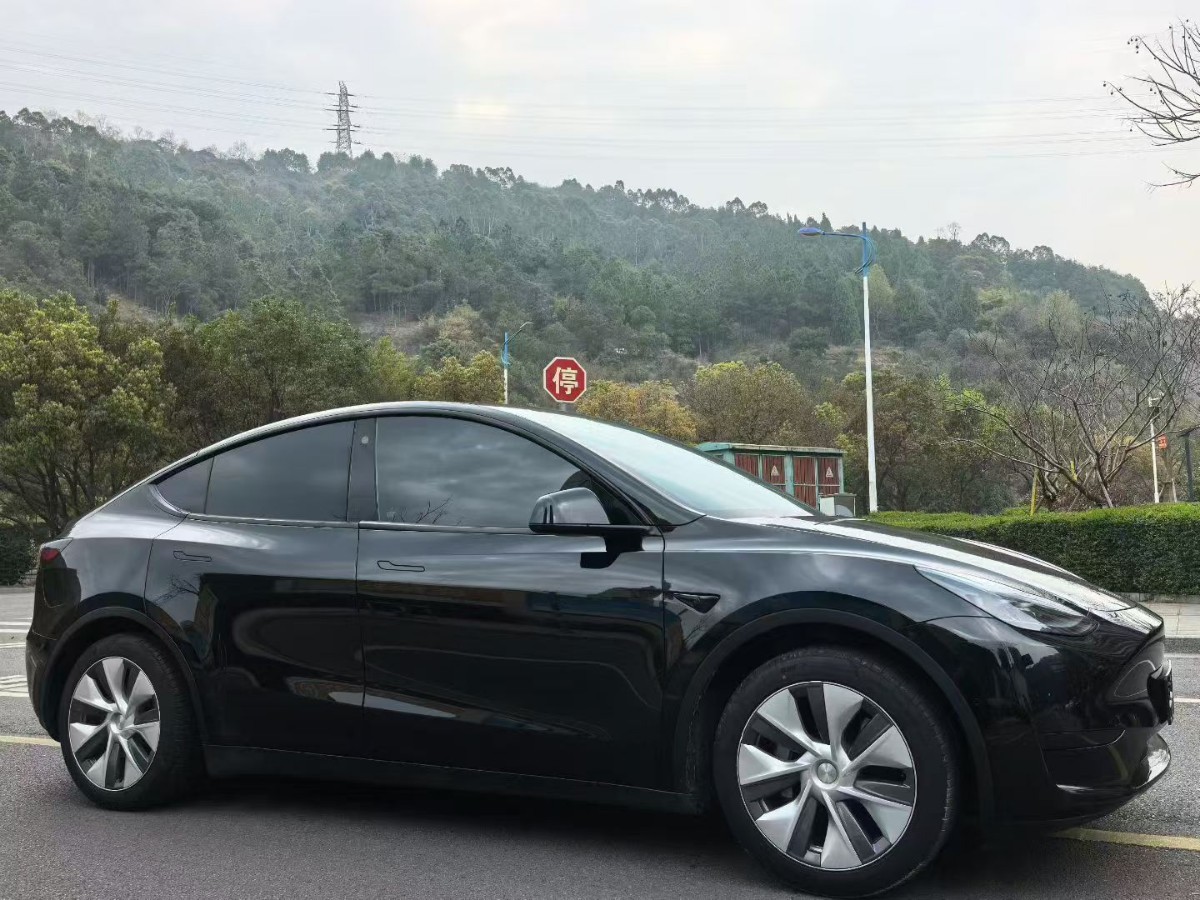 Tesla Model Y 2023 #2 Tesla Model Y 2023 car image #2