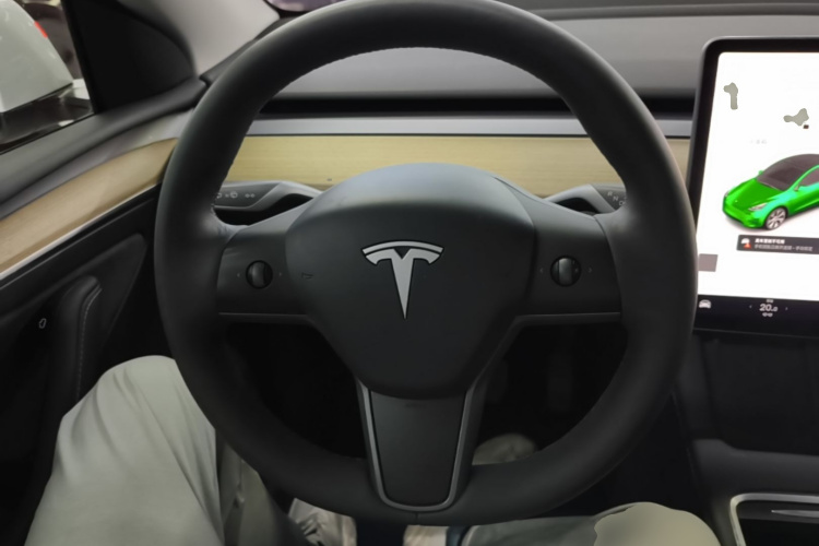 Tesla Model Y 2023 #15 Tesla Model Y 2023 car image #15