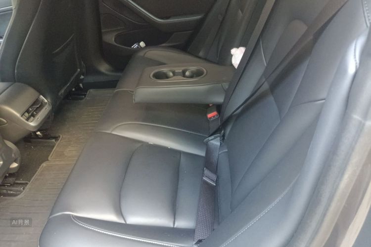 Tesla Model 3 2020 #19 Tesla Model 3 2020 car image #19
