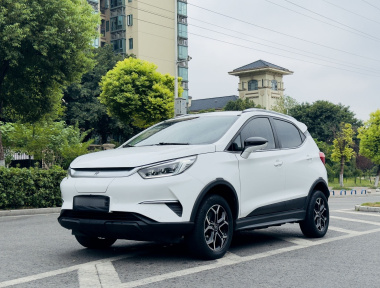 BYD Yuan Pro 2021 car image 