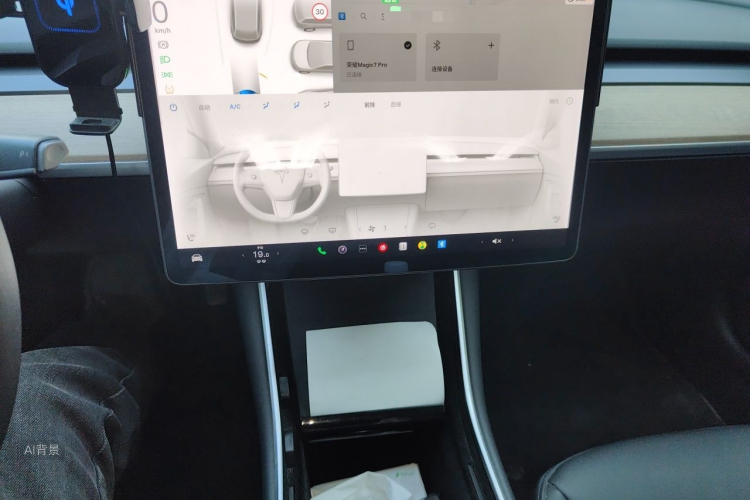 Tesla Model 3 2020 car image #15