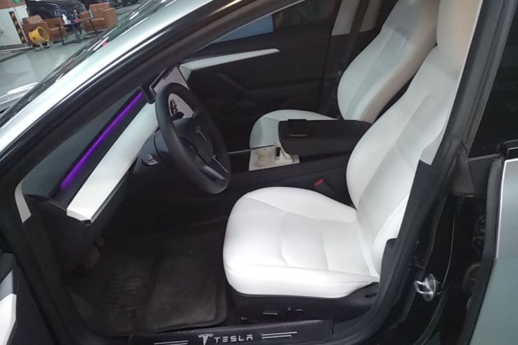 Tesla Model 3 2021 car image #15
