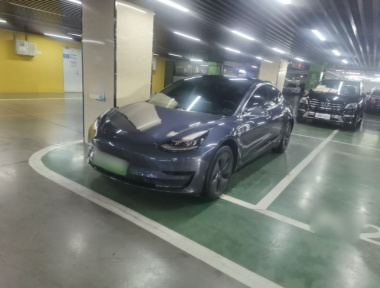 Tesla Model 3 2020 Tesla Model 3 2020 car image