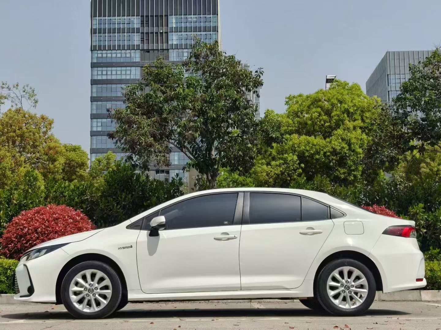 Toyota Corolla 2020 imagen de coche #7