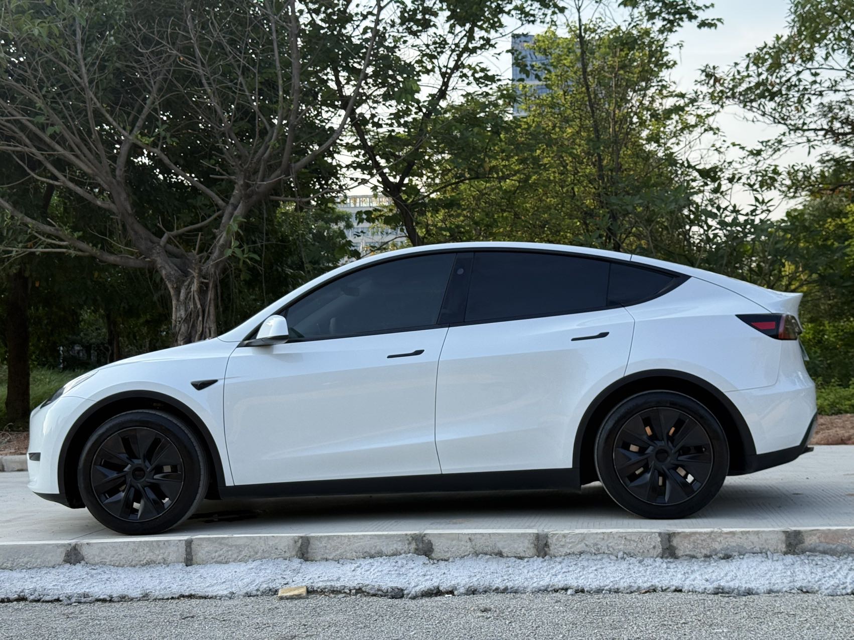 Tesla Model Y 2024 #15 Tesla Model Y 2024 car image #15