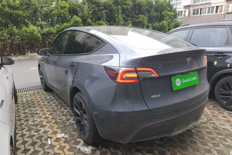 Tesla Model Y 2021 car image #5