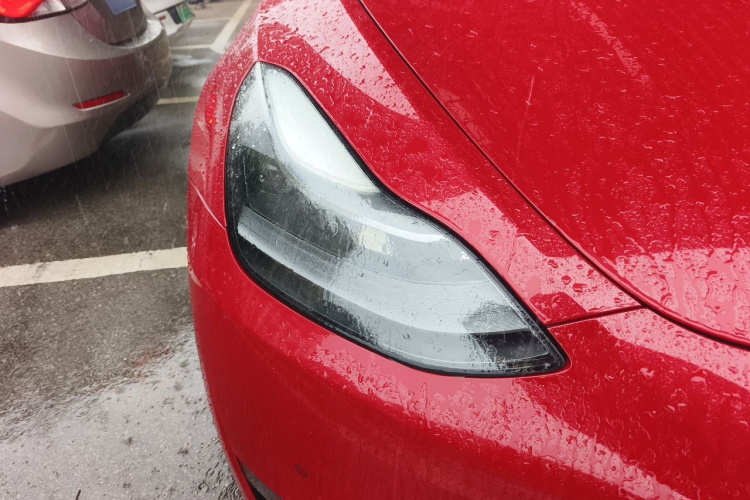 Tesla Model Y 2021 #8 Tesla Model Y 2021 car image #8