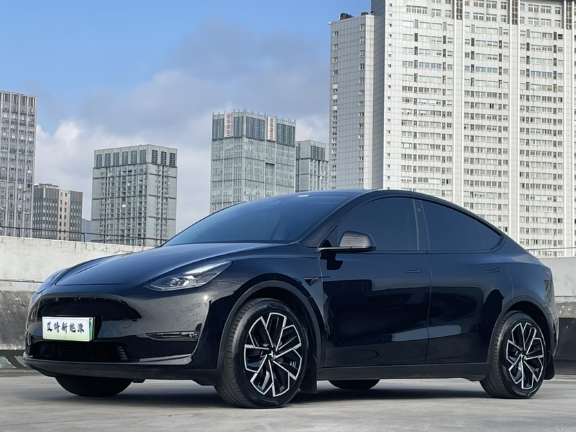 Tesla Model Y 2024 Tesla Model Y 2024 car image