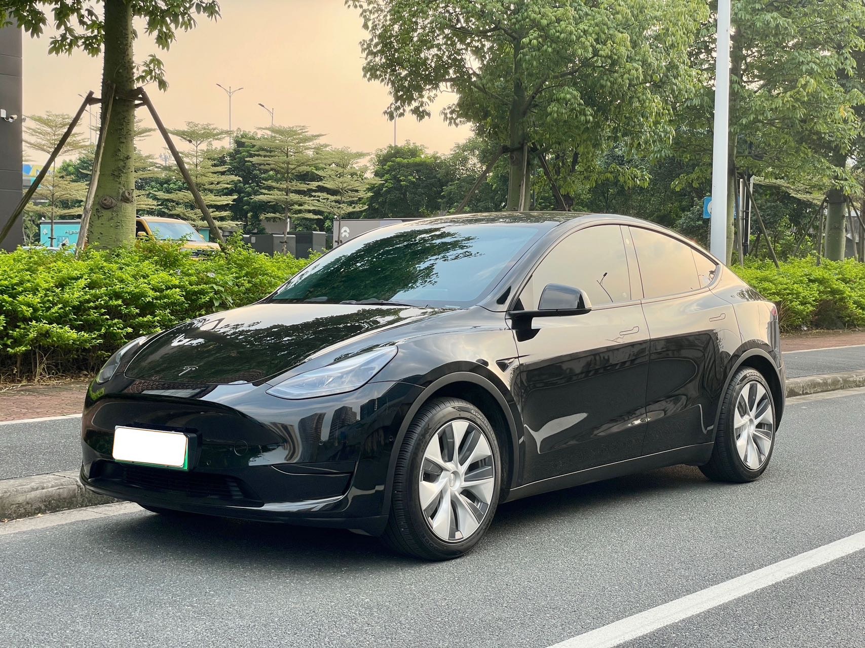 Tesla Model Y 2023 Tesla Model Y 2023 car image