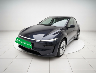 Tesla Model Y 2025 car image 