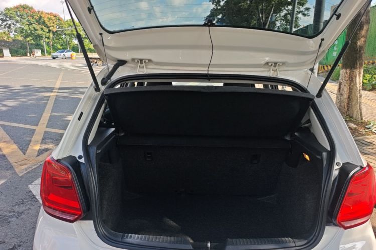 Volkswagen Polo 2015 car image #19
