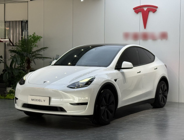 Tesla Model Y 2024 Tesla Model Y 2024 car image