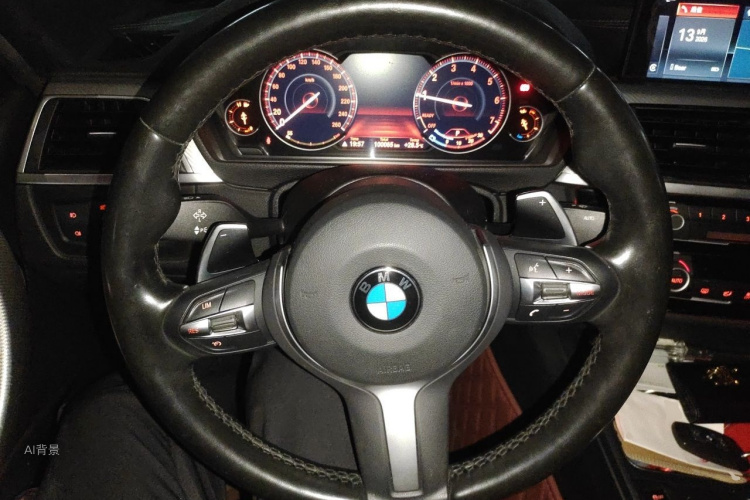 BMW 3 Series 2019 car image #12