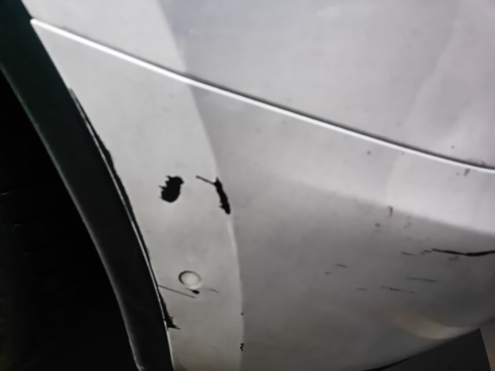 Tesla Model Y 2023 #3 Tesla Model Y 2023 car image #3