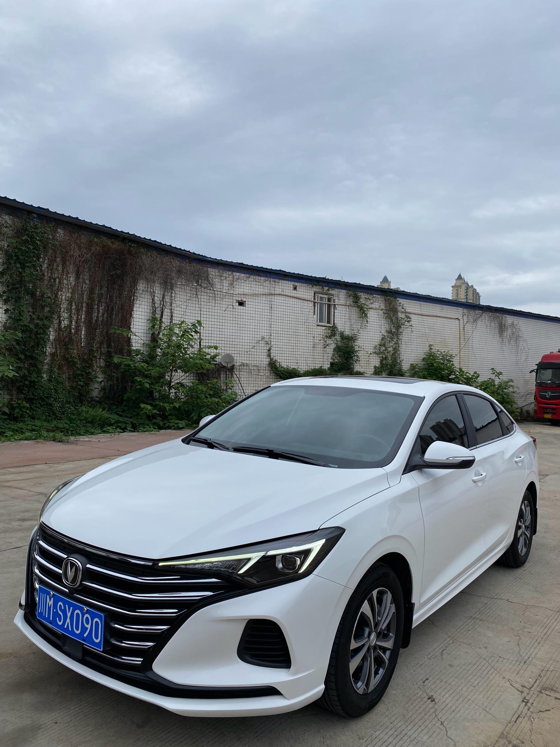 Changan Eado 2023 Changan Eado 2023 car image
