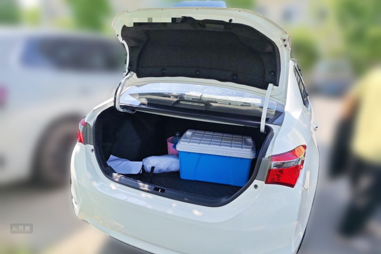 Toyota Corolla 2017 #21 Toyota Corolla 2017 car image #21