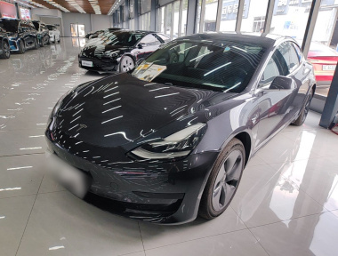 Tesla Model 3 2020 Tesla Model 3 2020 car image