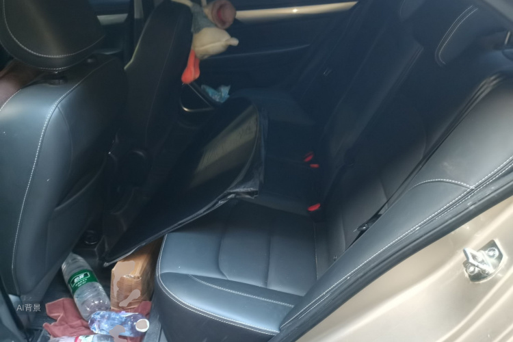 GEELY Emgrand 2020 car image #19