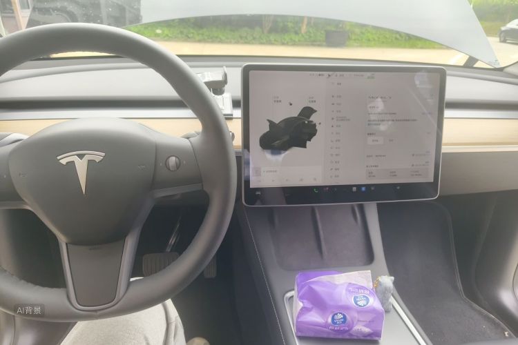 Tesla Model Y 2021 #15 Tesla Model Y 2021 car image #15