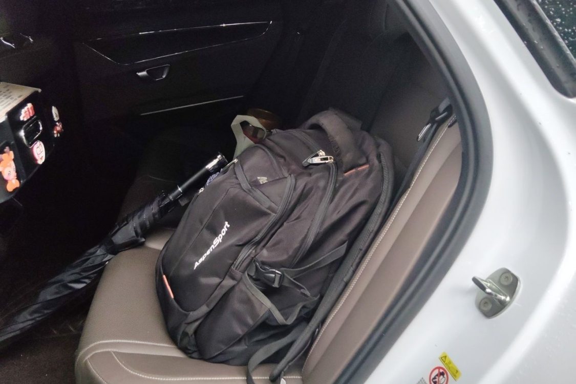 BYD Han 2022 #19 BYD Han 2022 imagen de coche #19