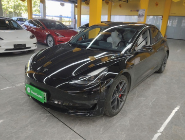 Tesla Model 3 2022 Tesla Model 3 2022 car image